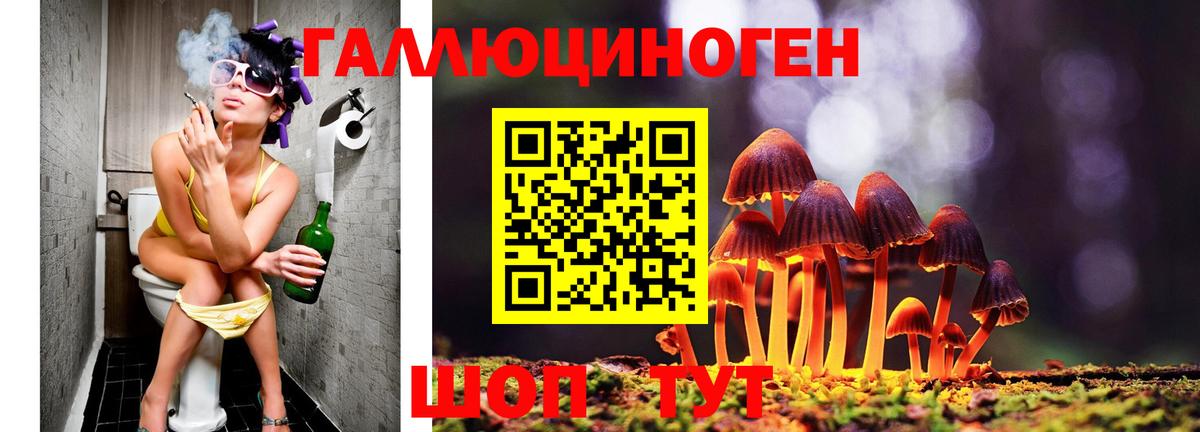 Псилоцибиновые грибы Cubensis  Вход с VPN  где купить наркоту  Татарск 